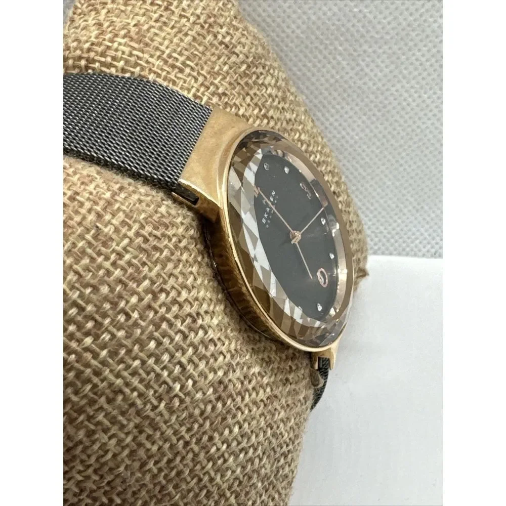 Unbranded skagen skw2120